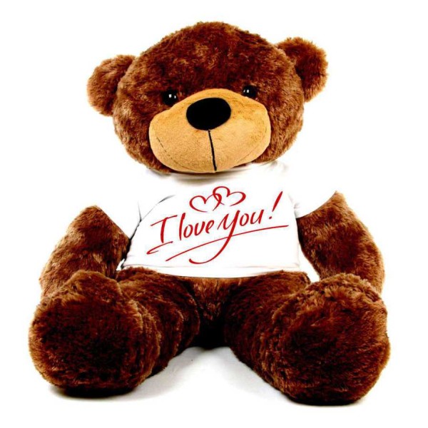 Brown 5 feet Big Teddy Bear wearing a I Love You T-shirt